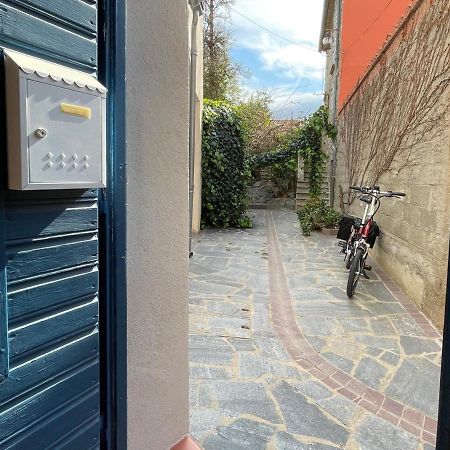 Studio Cabine A Collioure, A 100M De La Plage Et Des Commerces - Fr-1-309-153 ภายนอก รูปภาพ