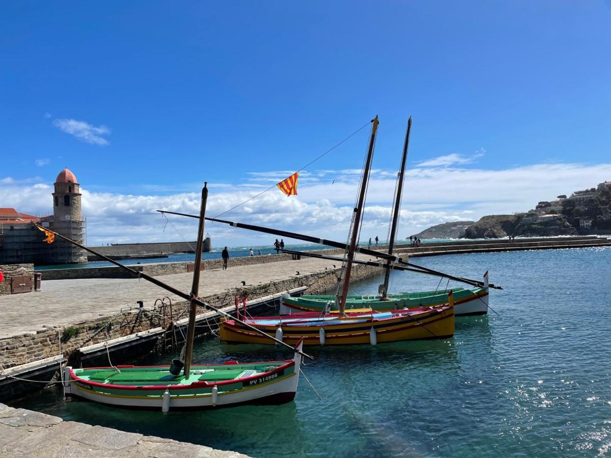 Studio Cabine A Collioure, A 100M De La Plage Et Des Commerces - Fr-1-309-153 ภายนอก รูปภาพ