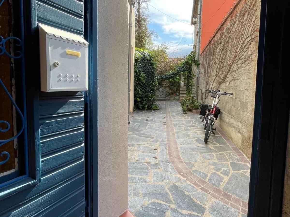 Studio Cabine A Collioure, A 100M De La Plage Et Des Commerces - Fr-1-309-153 ภายนอก รูปภาพ